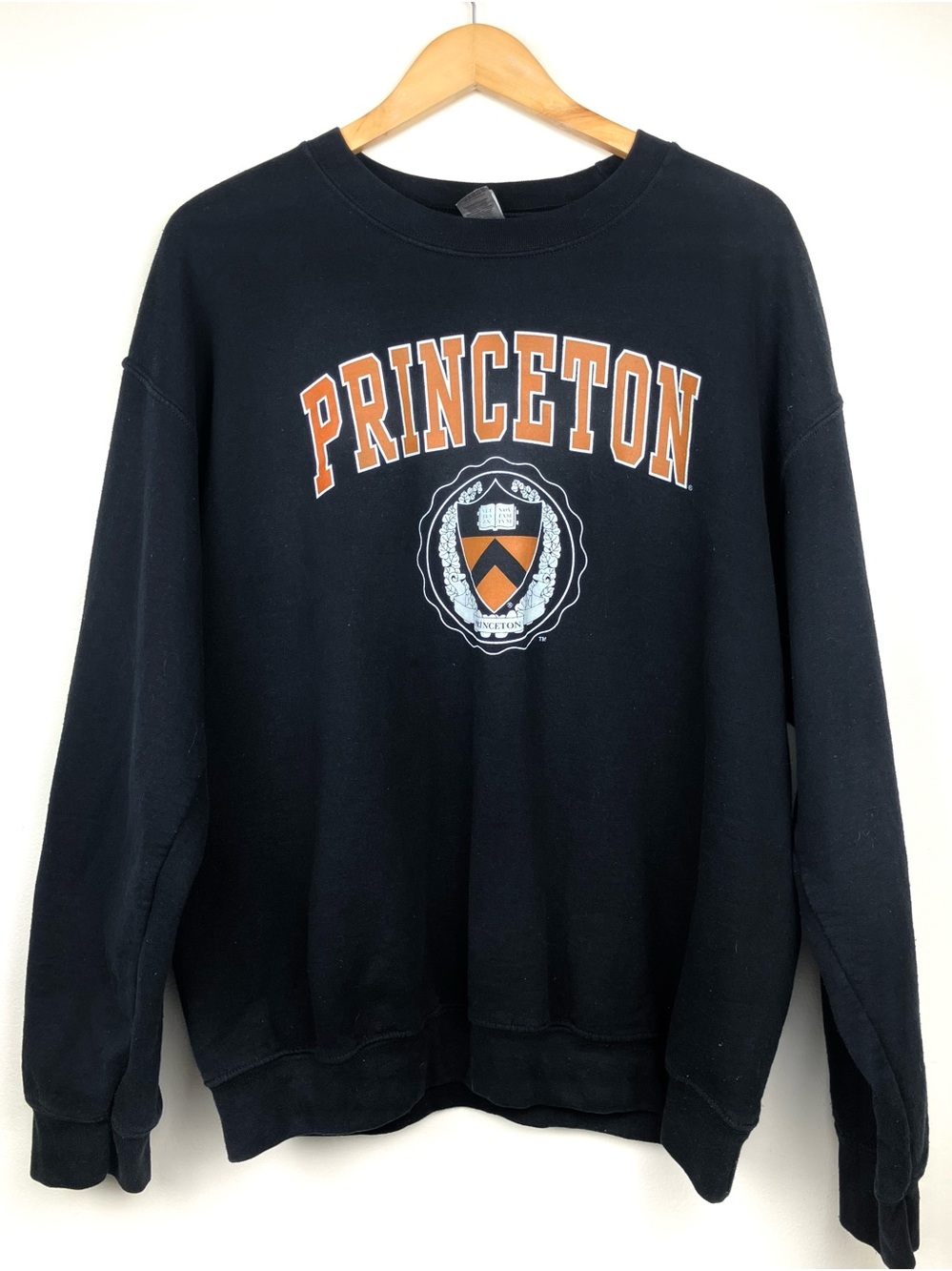 Gildan Princeton University Crewneck Sweatshirt